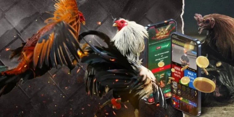 Chinh Phục Cách Chơi Đá Gà GA28 Tại E2BET Dễ Dàng Thắng Đậm 2 Chinh Phục Cách Chơi Đá Gà GA28 Tại E2BET Dễ Dàng Thắng Đậm