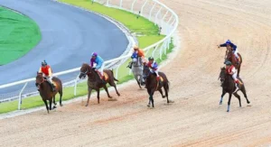 Chiến Thuật Cá Cược Đua Ngựa E2BET Giúp Bạn Về Bờ