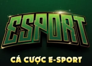 Hướng Dẫn Cách Chơi Thể Thao Điện Tử E2BET Từ A Đến Z